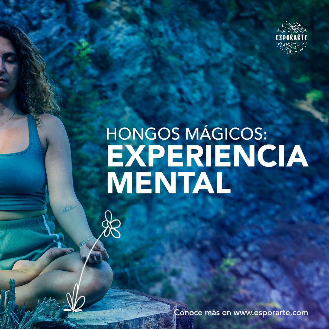 HONGOS MAGICOS: EXPERIENCIA MENTAL